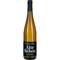 Pfalz - Markus Schneider Riesling "Alte Reben"