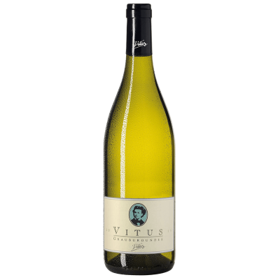 Heger Grauburgunder "Vitus" Barrique - 6