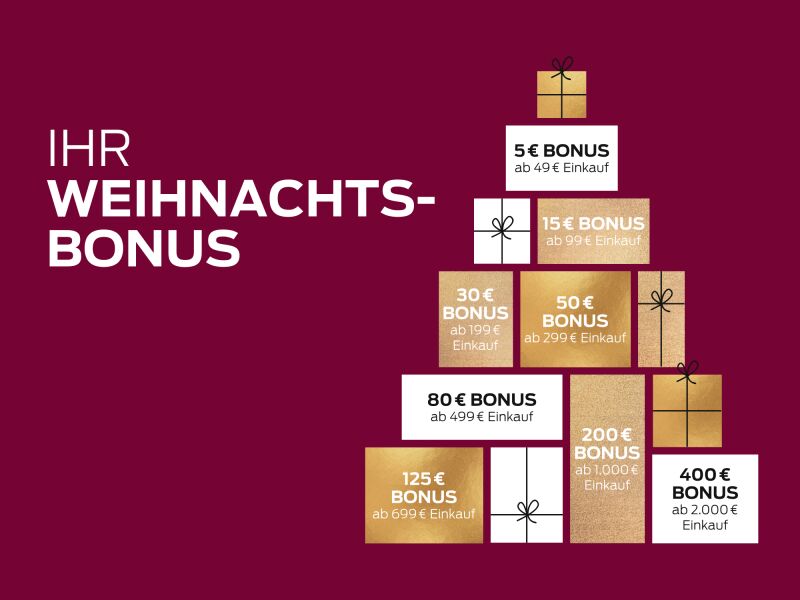 Introbild zu Artikel Weihnachtszeit im Haus der Geschenke